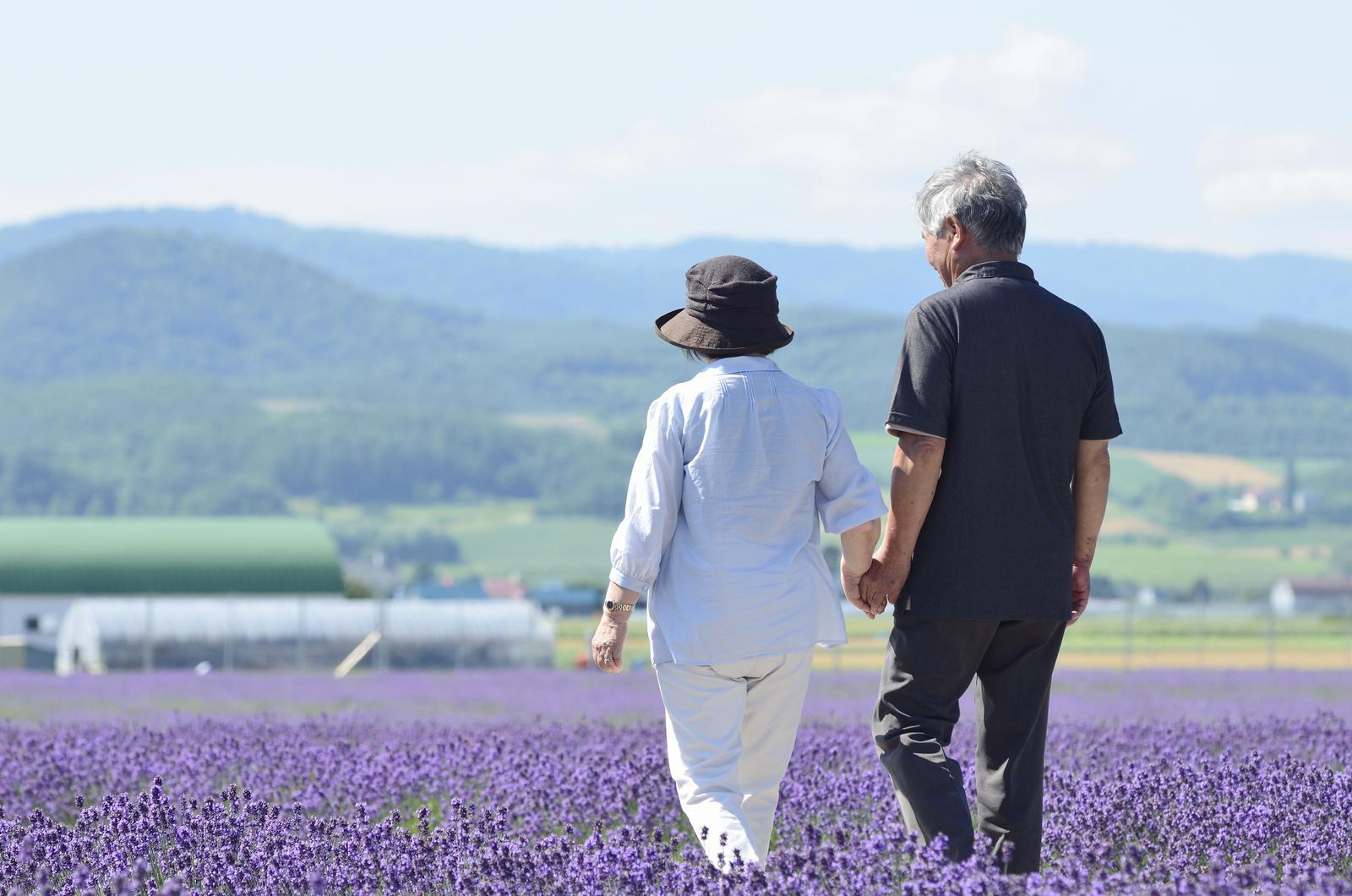当日がお得!シニア向け飛行機割引をご存知ですか?
